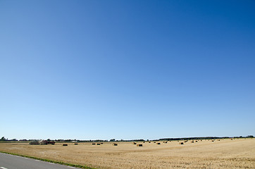 Image showing Harvesting