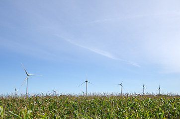 Image showing Windmills at corn field