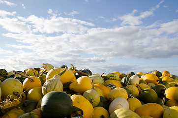 Image showing Stack of pumpkins