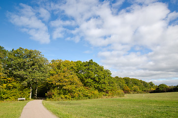 Image showing Sunny bench