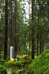 Image showing Thermos in mossy forest