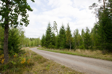 Image showing Road into the woods