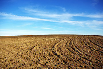 Image showing Texture of cultivated field.