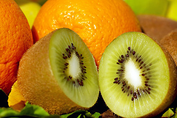 Image showing Kiwi and citrus fruits.