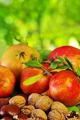 Image showing Autumn fruit with chestnuts, walnuts and pomegranates 