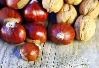 Image showing Assortment of nuts displayed on wood background 