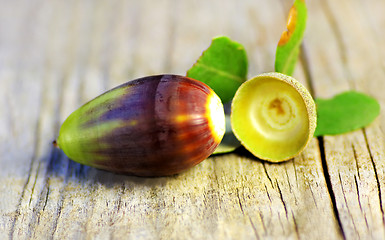 Image showing one acorns on a table background 
