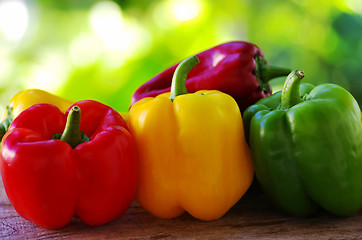 Image showing red, yellow and green pepper on green background 