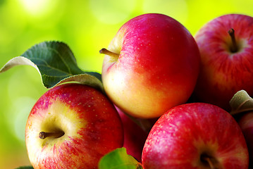 Image showing ripe red apples on table