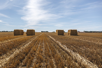 Image showing Hay Bale