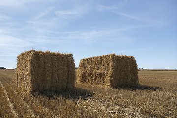 Image showing Hay Bale