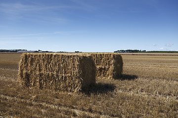 Image showing Hay Bale