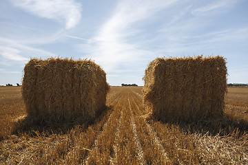 Image showing Hay Bale