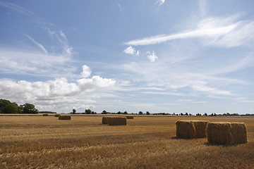 Image showing Hay Bale