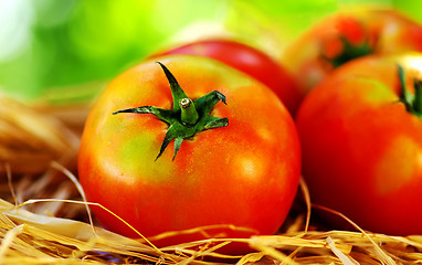 Image showing Ripe tomatoes 