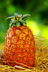 Image showing Pineapple on green background