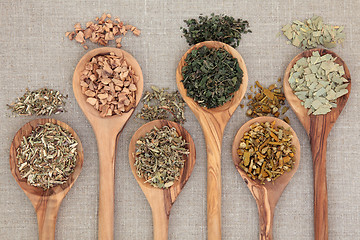 Image showing Healing Herbs