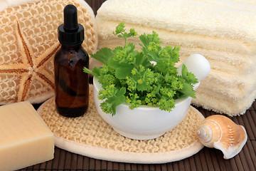 Image showing Herbal Spa Treatment