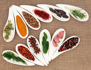 Image showing Spice and Herb Seasoning