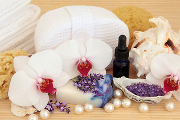 Image showing Spa Massage Treatment