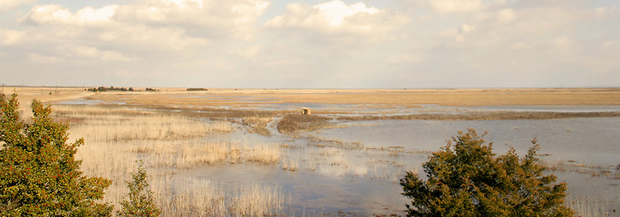 Image showing Panoramic View of Marsh