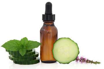 Image showing Mint and Cucumber Spa