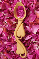 Image showing Rose Petals