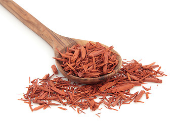 Image showing Sandalwood