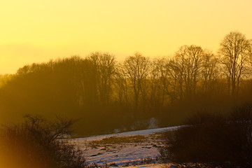 Image showing morning in the field