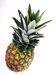 Image showing Pineapple