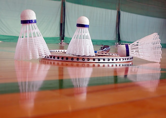 Image showing Indoor badminton