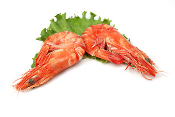 Image showing Shrimp pair