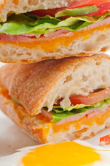 Image showing ciabatta panini sandwich eggs tomato lettuce