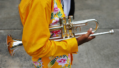 Image showing Close-up of a band member holding a trumpet