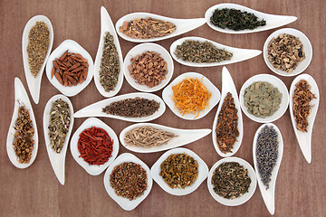 Image showing Herb and Spice Sampler