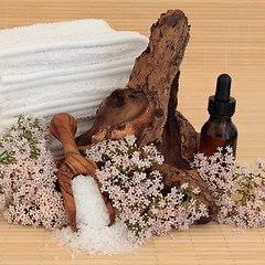 Image showing Valerian Spa Treatment