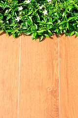 Image showing green grass on wood floor