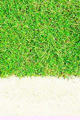 Image showing green grass and white sand 