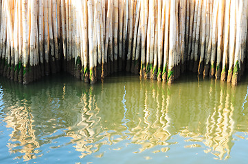 Image showing Bamboo wall