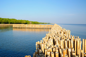 Image showing Bamboo wall