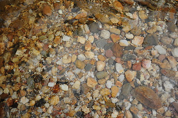 Image showing Stones under water. Background. 