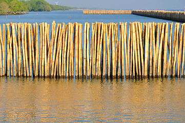 Image showing Bamboo wall