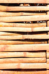 Image showing bamboo texture good 