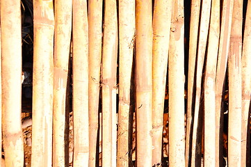 Image showing bamboo texture good 