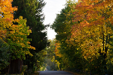 Image showing Autumn road