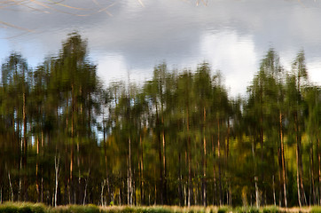 Image showing Reflections