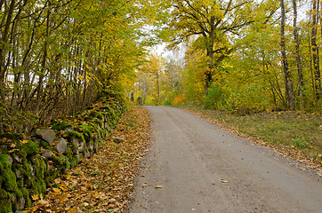 Image showing Countryroad