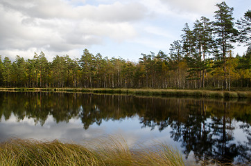 Image showing Calm lake