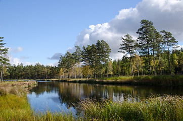 Image showing Forest lake