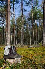 Image showing Drying socks